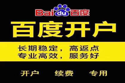 案例对比：不同竞价广告平台的优劣